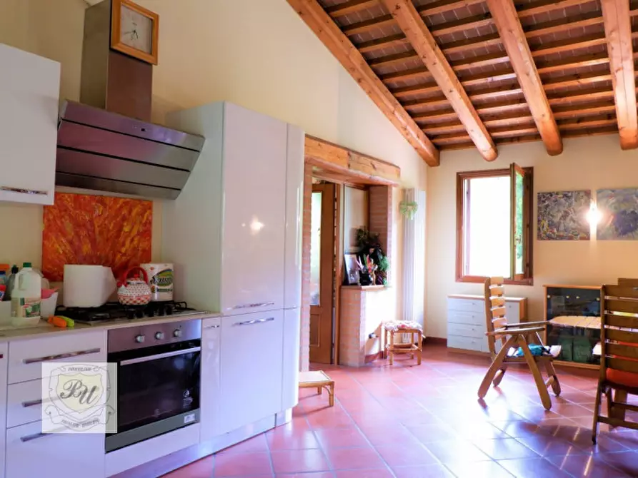 Immagine 39 di Villa in vendita  in via principe umberto 54/b a Cinto Euganeo