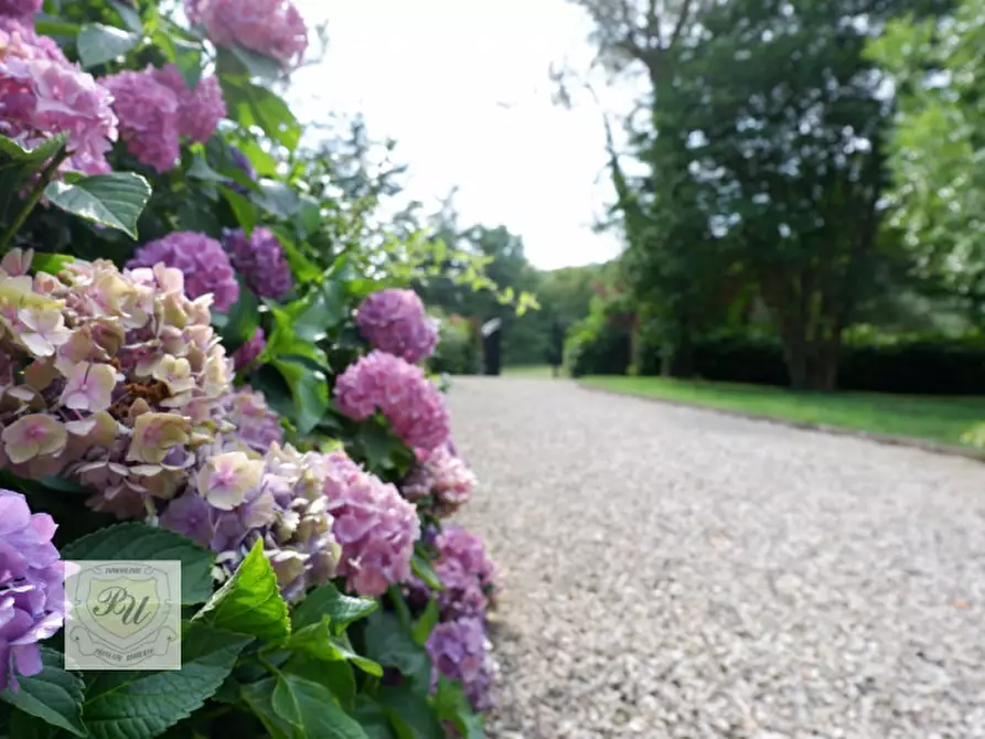 Immagine 65 di Villa in vendita  in via principe umberto 54/b a Cinto Euganeo