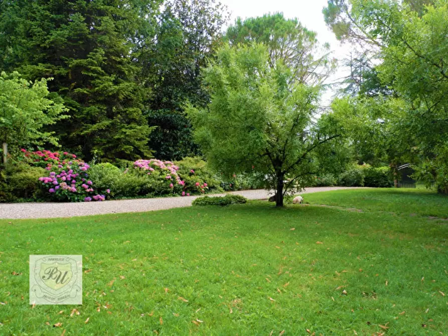 Immagine 73 di Villa in vendita  in via principe umberto 54/b a Cinto Euganeo