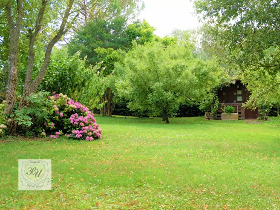 Immagine 77 di Villa in vendita  in via principe umberto 54/b a Cinto Euganeo