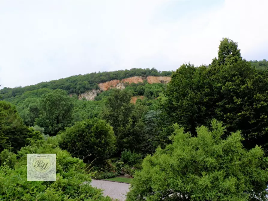 Immagine 79 di Villa in vendita  in via principe umberto 54/b a Cinto Euganeo