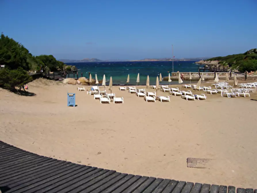 Immagine 25 di Appartamento in vendita  a Arzachena