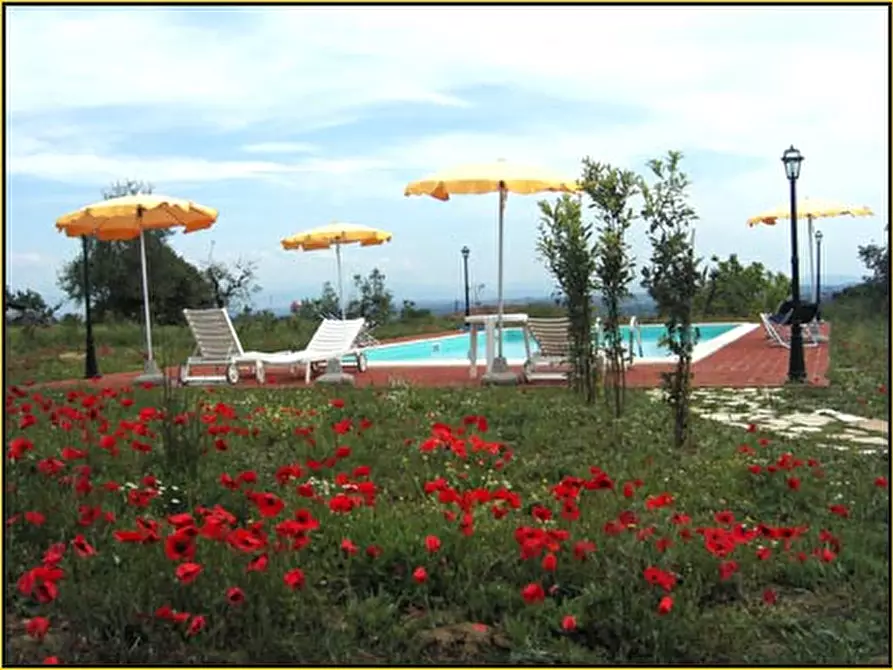 Immagine 75 di Rustico / casale in affitto  in via del Commercio Sud a Casciana Terme Lari