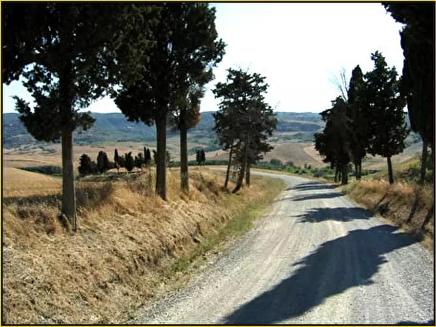 Immagine 77 di Rustico / casale in affitto  in via del Commercio Sud a Casciana Terme Lari