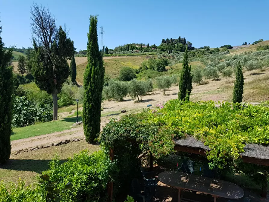 Immagine 86 di Rustico / casale in affitto  in via del Commercio Sud a Casciana Terme Lari