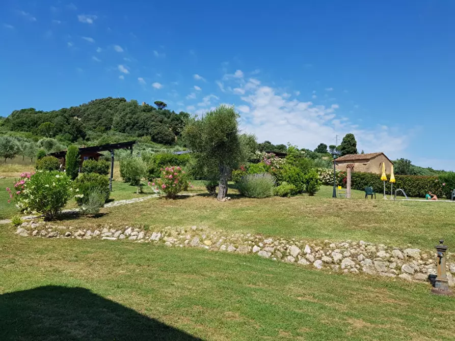 Immagine 87 di Rustico / casale in affitto  in via del Commercio Sud a Casciana Terme Lari