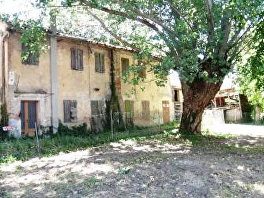 Immagine 3 di Rustico / casale in vendita  a Agna