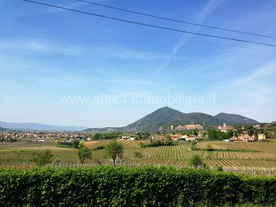 Immagine 1 di Terreno in vendita  in via G. Marconi a Vo