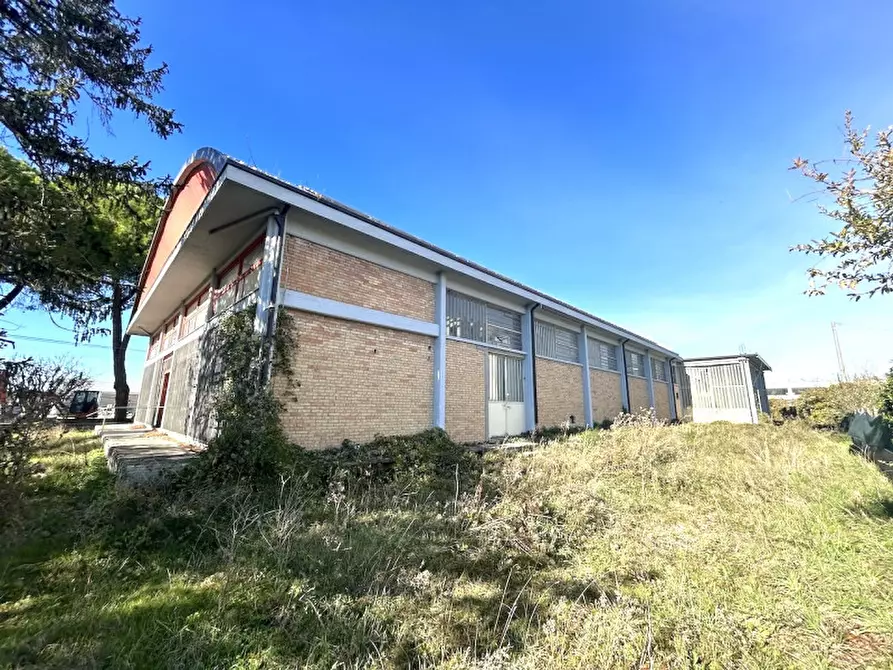 Immagine 2 di Capannone industriale in vendita  in PONTE PIETRA a Cesena