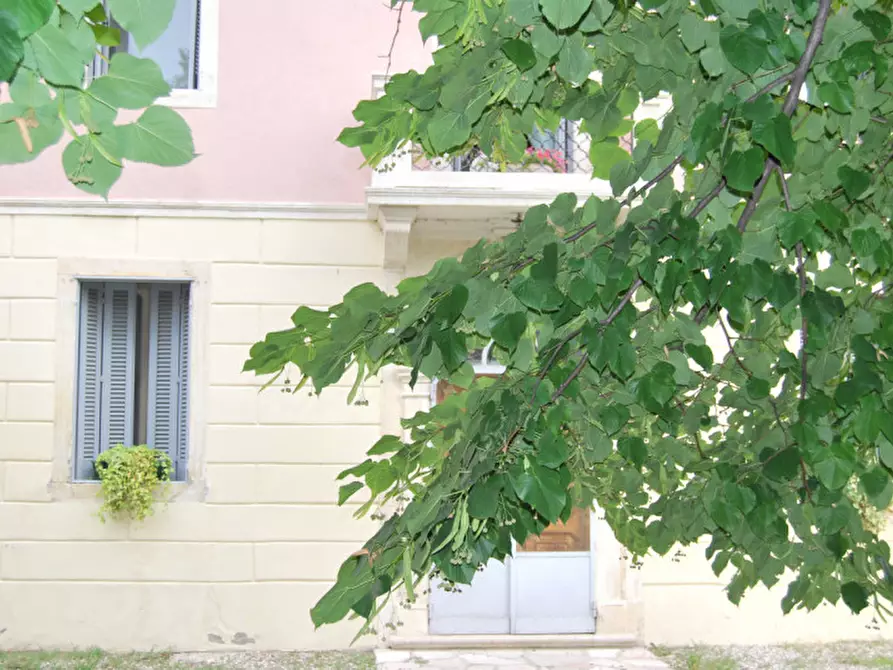 Immagine 29 di Palazzo in vendita  a Lonigo