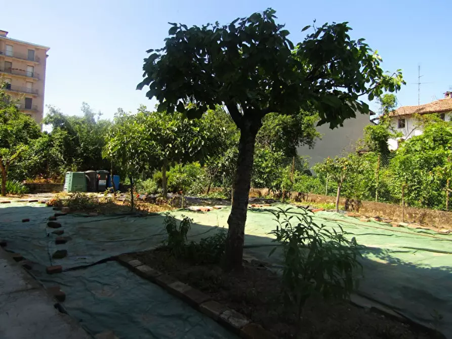 Immagine 8 di Villa in vendita  in via Boschine n° 13 a Sannazzaro De' Burgondi