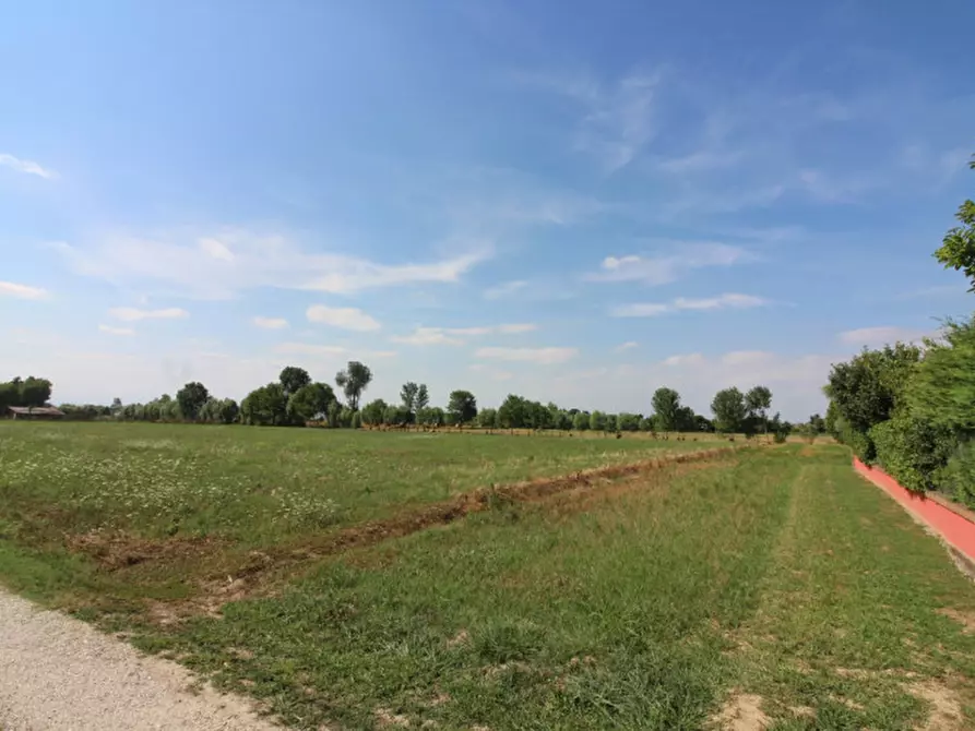 Immagine 2 di Terreno in vendita  in via Bressan a Selvazzano Dentro