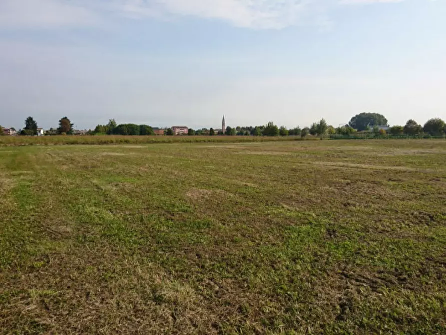 Immagine 3 di Terreno in vendita  in via Bressan a Selvazzano Dentro