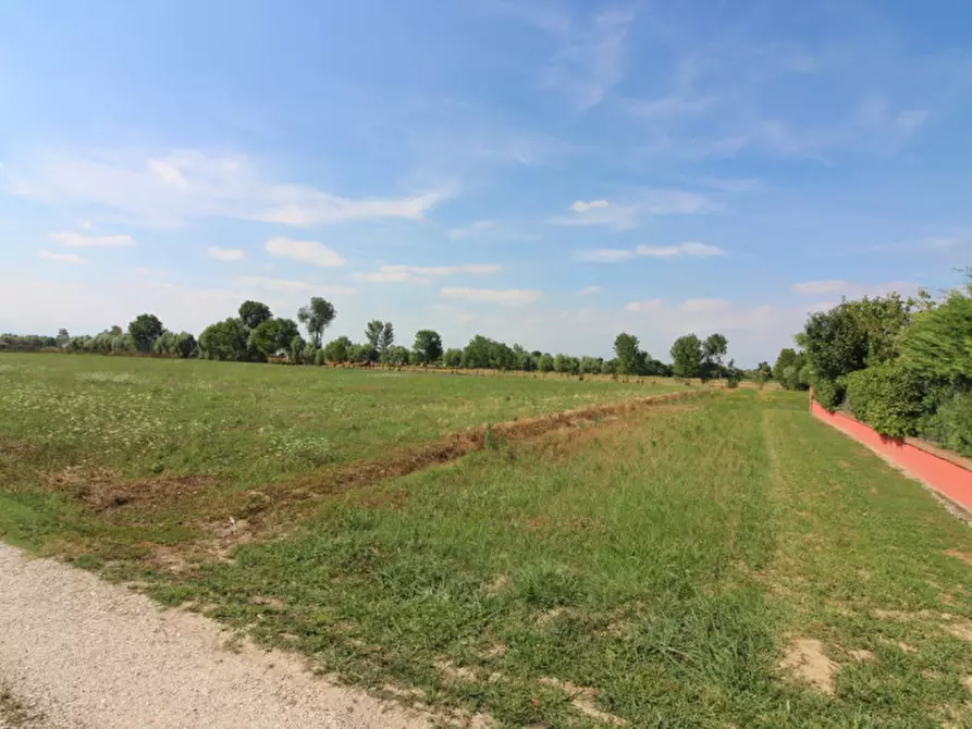 Immagine 4 di Terreno in vendita  in via Bressan a Selvazzano Dentro