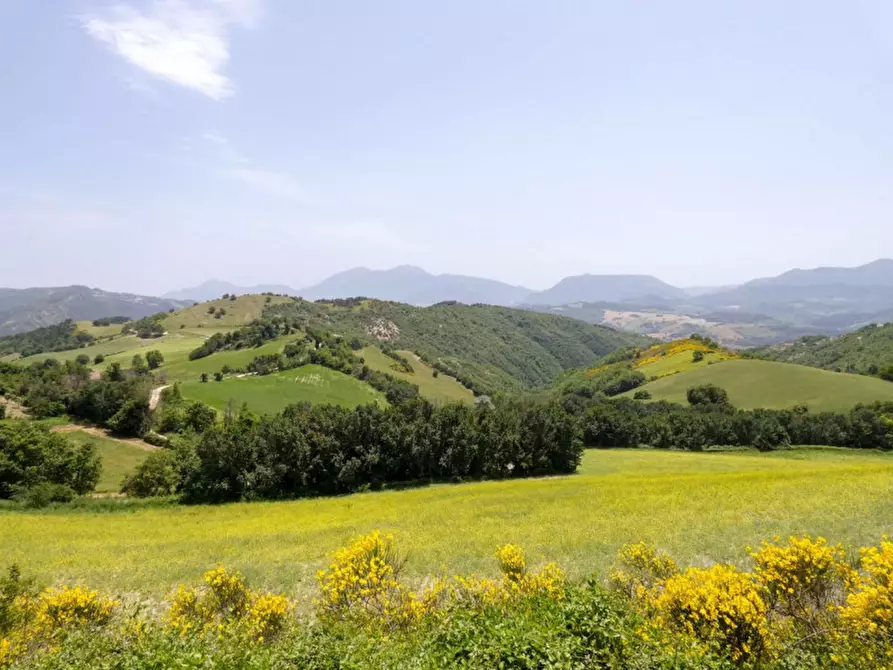 Immagine 6 di Rustico / casale in vendita  in strada Monte L'Arcello a Acqualagna