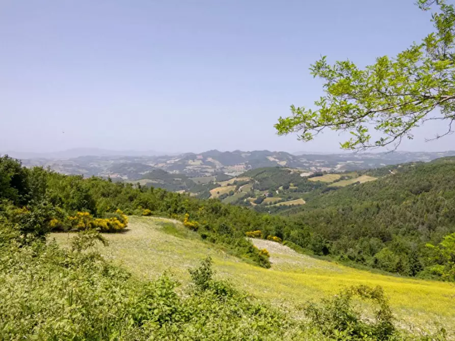 Immagine 7 di Rustico / casale in vendita  in strada Monte L'Arcello a Acqualagna