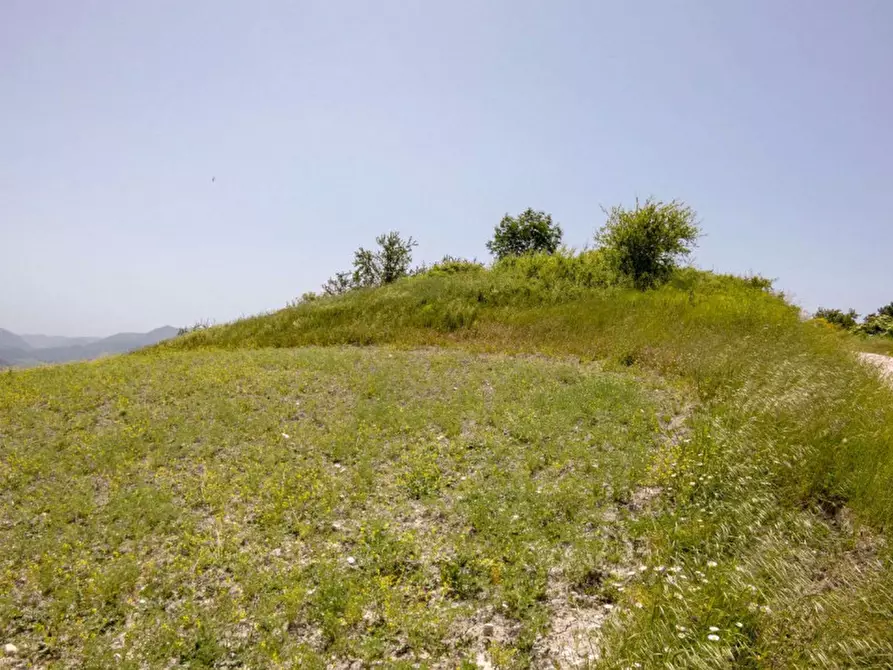 Immagine 8 di Rustico / casale in vendita  in strada Monte L'Arcello a Acqualagna