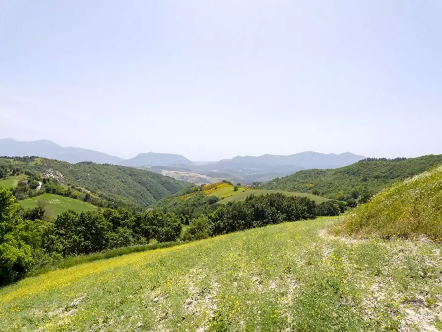 Immagine 9 di Rustico / casale in vendita  in strada Monte L'Arcello a Acqualagna