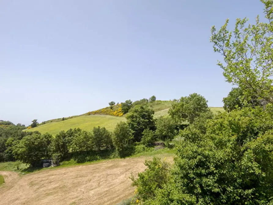 Immagine 10 di Rustico / casale in vendita  in strada Monte L'Arcello a Acqualagna