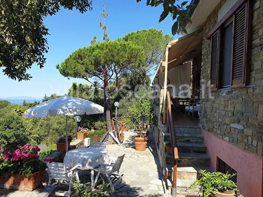 Immagine 3 di Casa trifamiliare in vendita  a Castiglione Della Pescaia