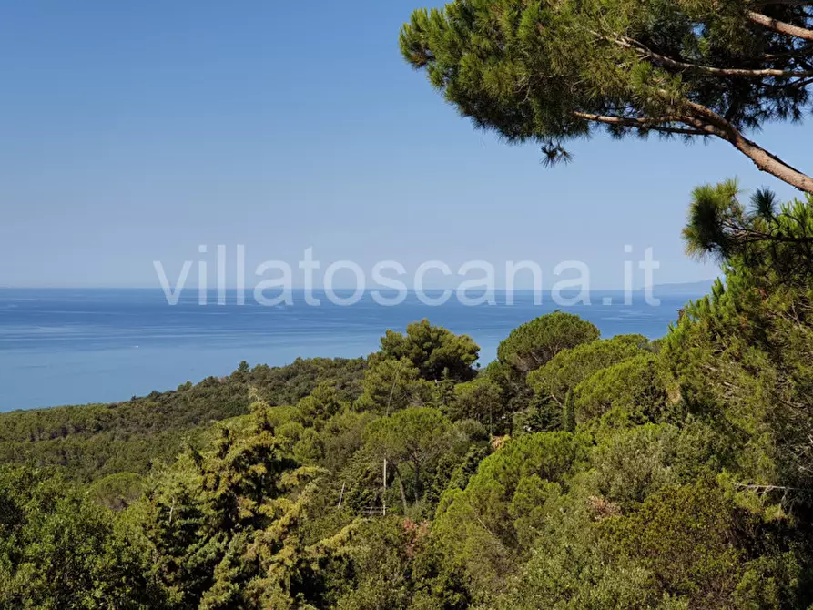 Immagine 14 di Casa trifamiliare in vendita  a Castiglione Della Pescaia