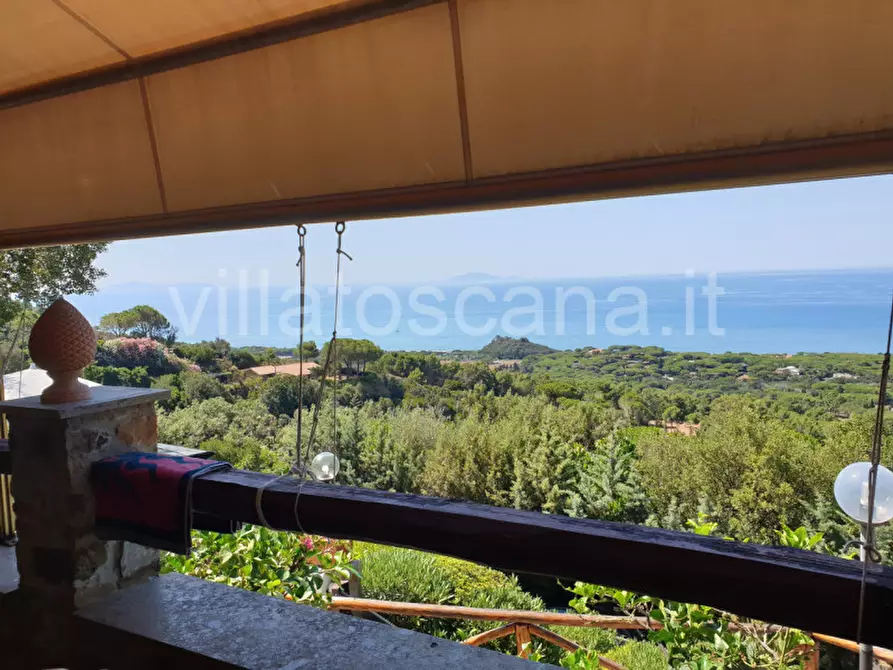 Immagine 17 di Casa trifamiliare in vendita  a Castiglione Della Pescaia