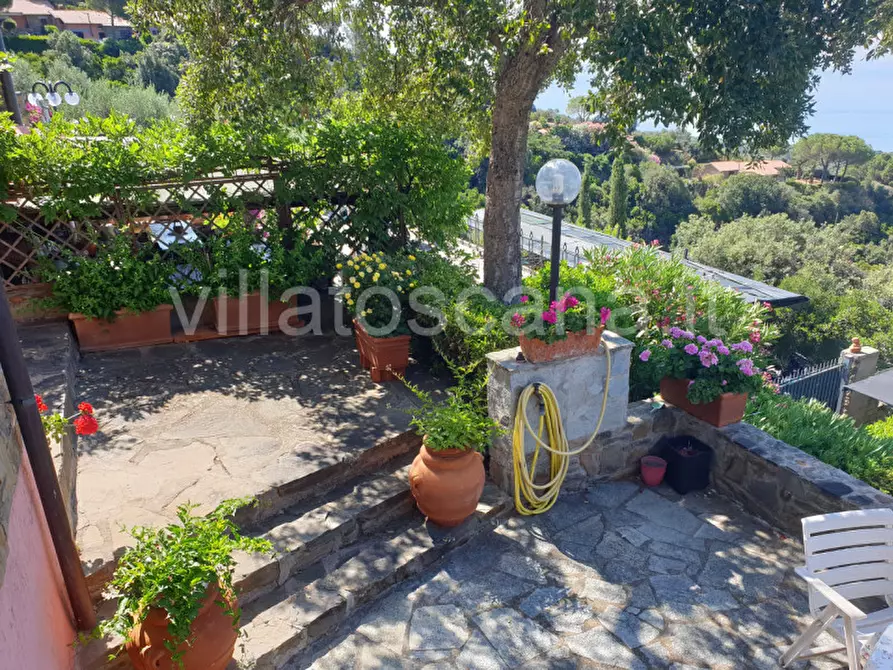 Immagine 18 di Casa trifamiliare in vendita  a Castiglione Della Pescaia