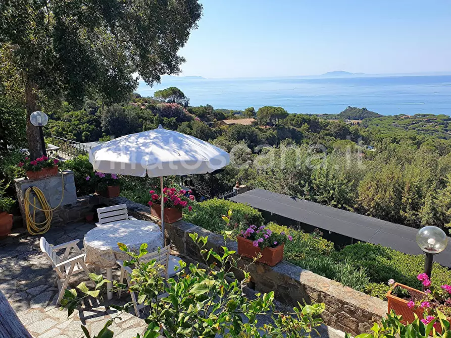 Immagine 19 di Casa trifamiliare in vendita  a Castiglione Della Pescaia