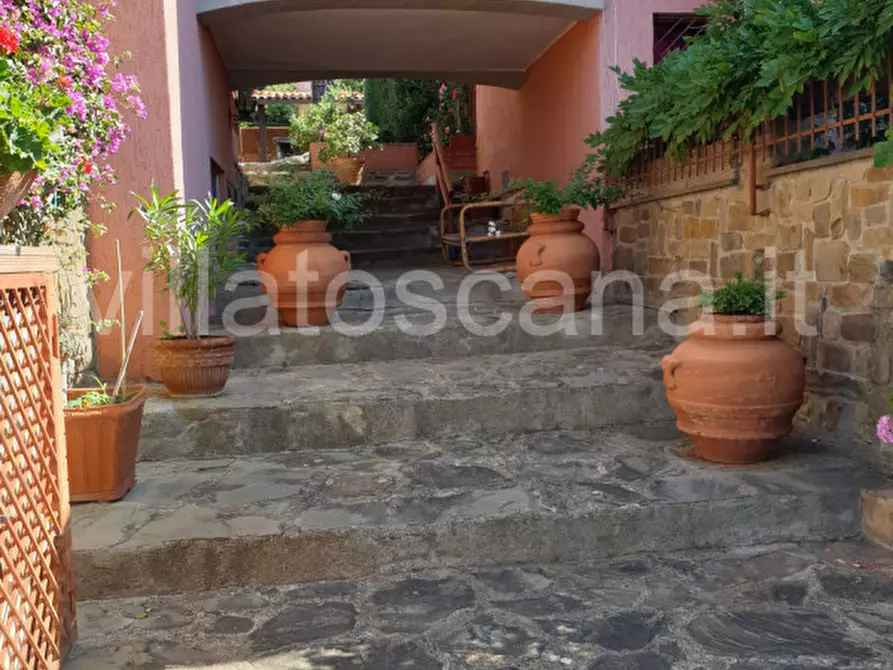 Immagine 21 di Casa trifamiliare in vendita  a Castiglione Della Pescaia