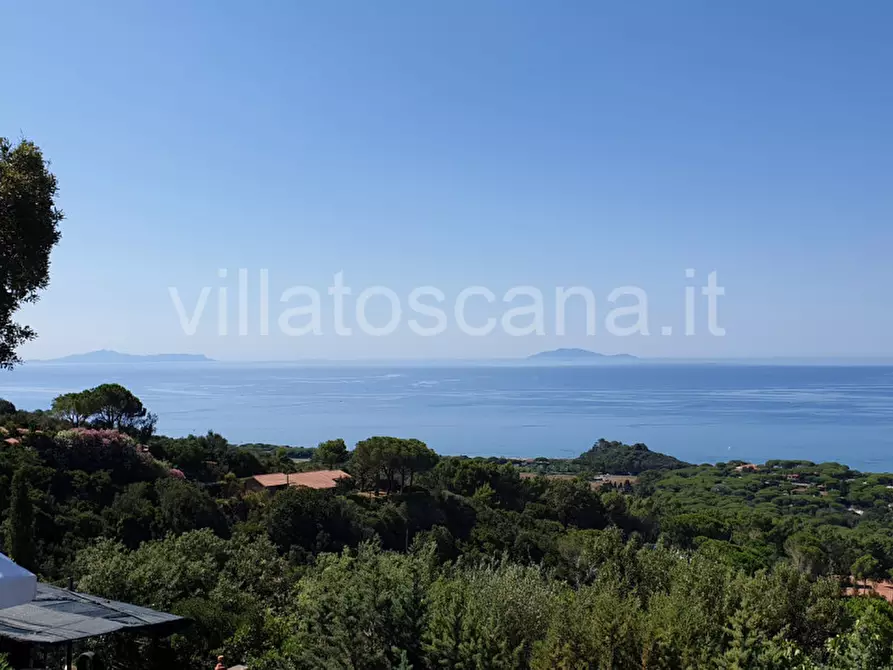 Immagine 24 di Casa trifamiliare in vendita  a Castiglione Della Pescaia