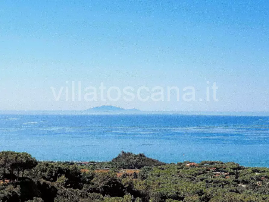 Immagine 25 di Casa trifamiliare in vendita  a Castiglione Della Pescaia