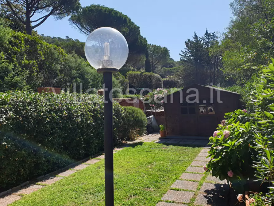 Immagine 28 di Casa trifamiliare in vendita  a Castiglione Della Pescaia