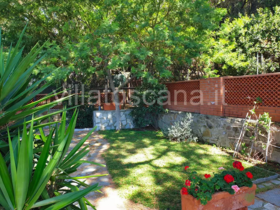 Immagine 29 di Casa trifamiliare in vendita  a Castiglione Della Pescaia