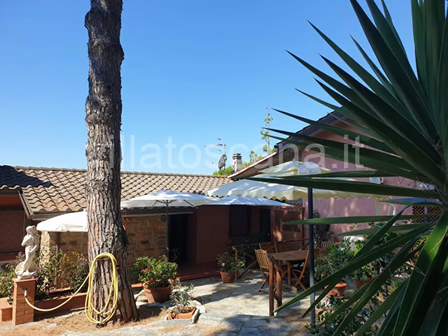 Immagine 30 di Casa trifamiliare in vendita  a Castiglione Della Pescaia