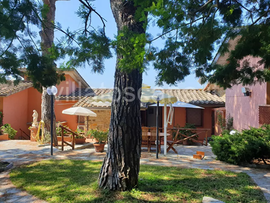 Immagine 31 di Casa trifamiliare in vendita  a Castiglione Della Pescaia