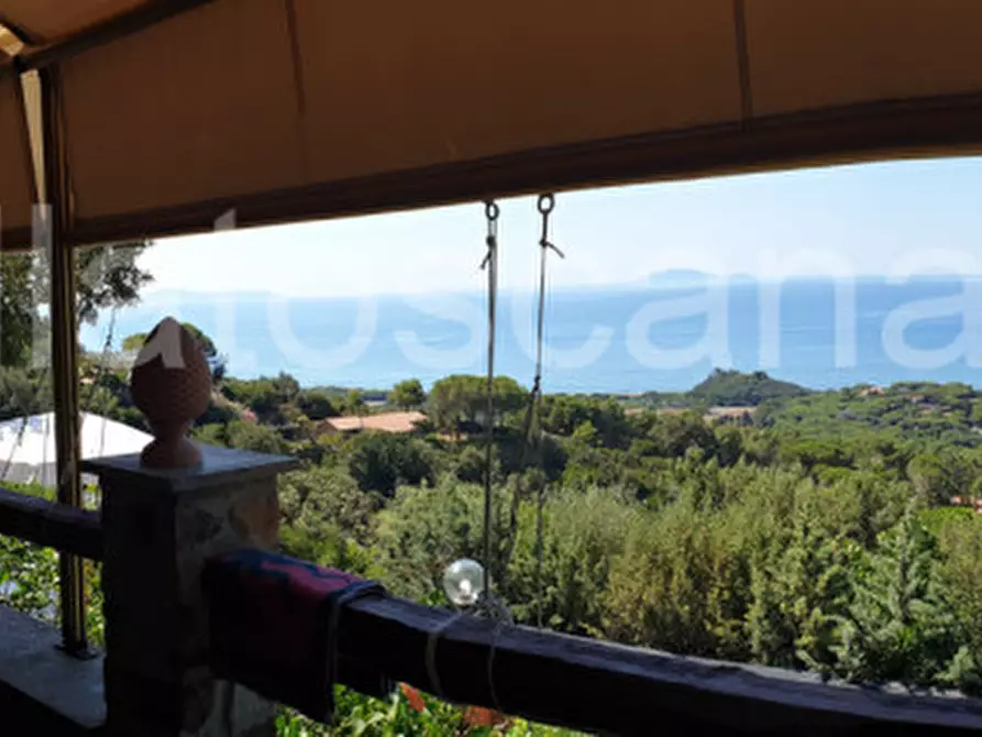 Immagine 42 di Casa trifamiliare in vendita  a Castiglione Della Pescaia