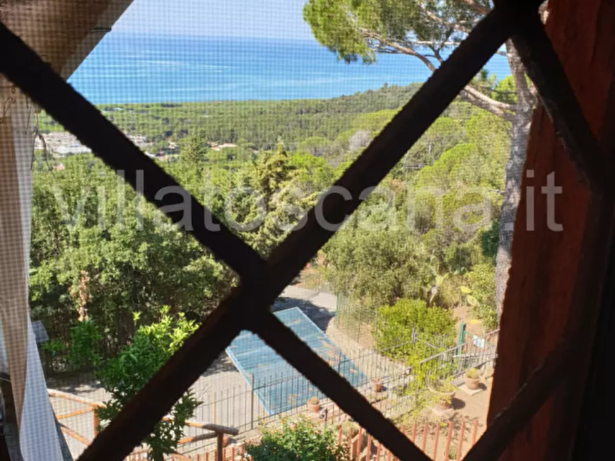 Immagine 50 di Casa trifamiliare in vendita  a Castiglione Della Pescaia