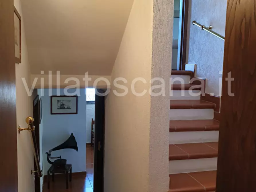 Immagine 61 di Casa trifamiliare in vendita  a Castiglione Della Pescaia