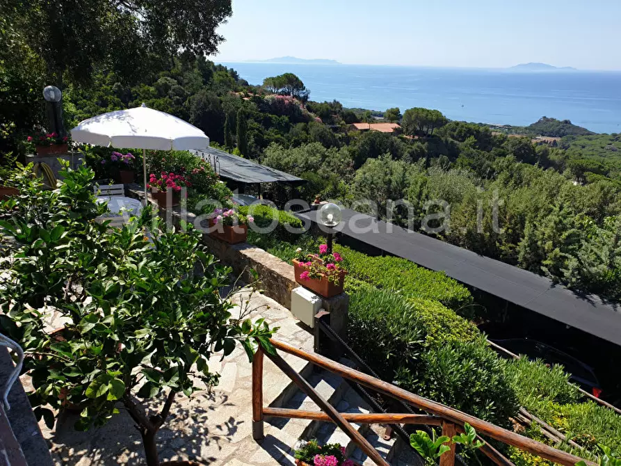 Immagine 76 di Casa trifamiliare in vendita  a Castiglione Della Pescaia