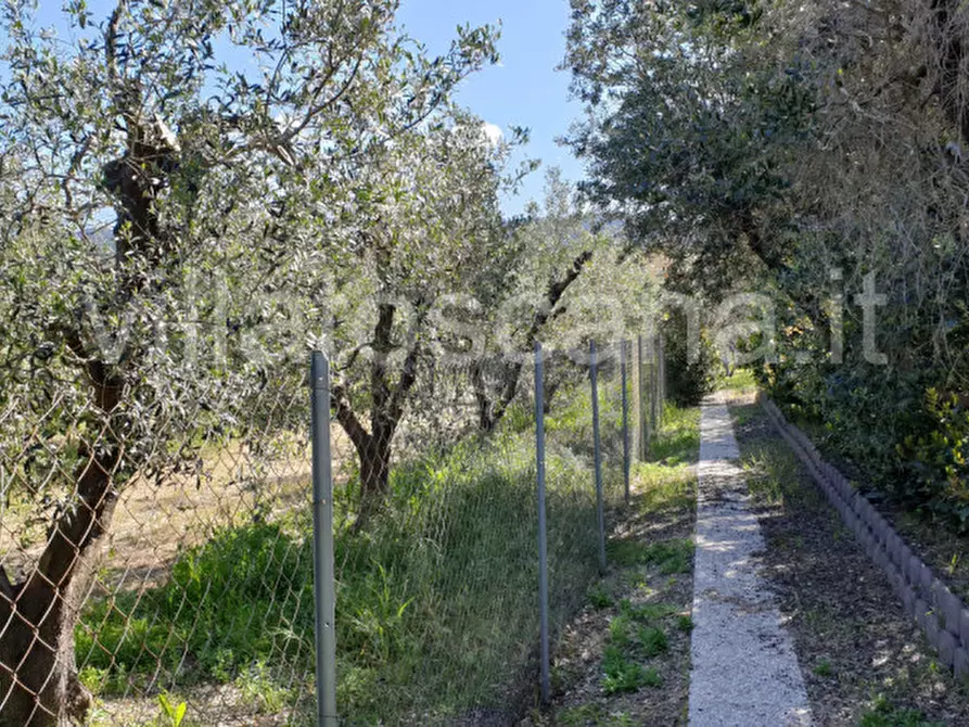 Immagine 2 di Casa bifamiliare in vendita  a Castiglione Della Pescaia