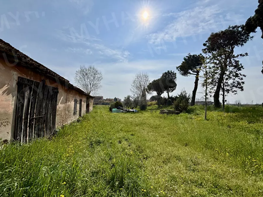 Immagine 2 di Rustico / casale in vendita  in Via Orsa Maggiore a Cesenatico