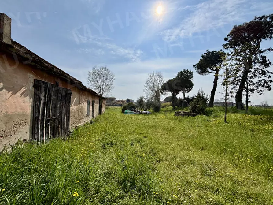 Immagine 3 di Rustico / casale in vendita  in Via Orsa Maggiore a Cesenatico