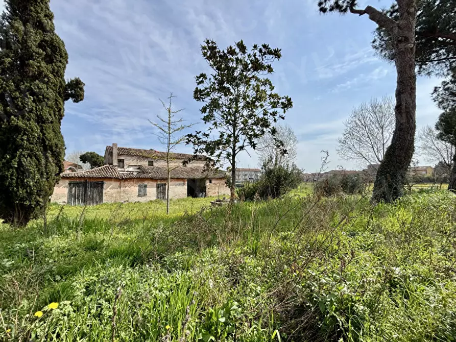 Immagine 15 di Rustico / casale in vendita  in Via Orsa Maggiore a Cesenatico