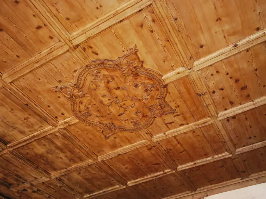 Immagine 2 di Monolocale in vendita  in Via Faureana a Lorenzago Di Cadore