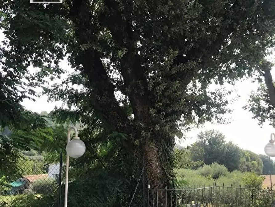 Immagine 10 di Casa bifamiliare in vendita  in Via Filippo Terzi a Fossombrone