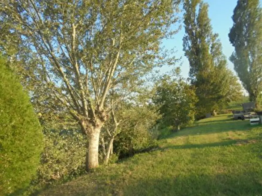 Immagine 3 di Casa indipendente in vendita  a Pincara