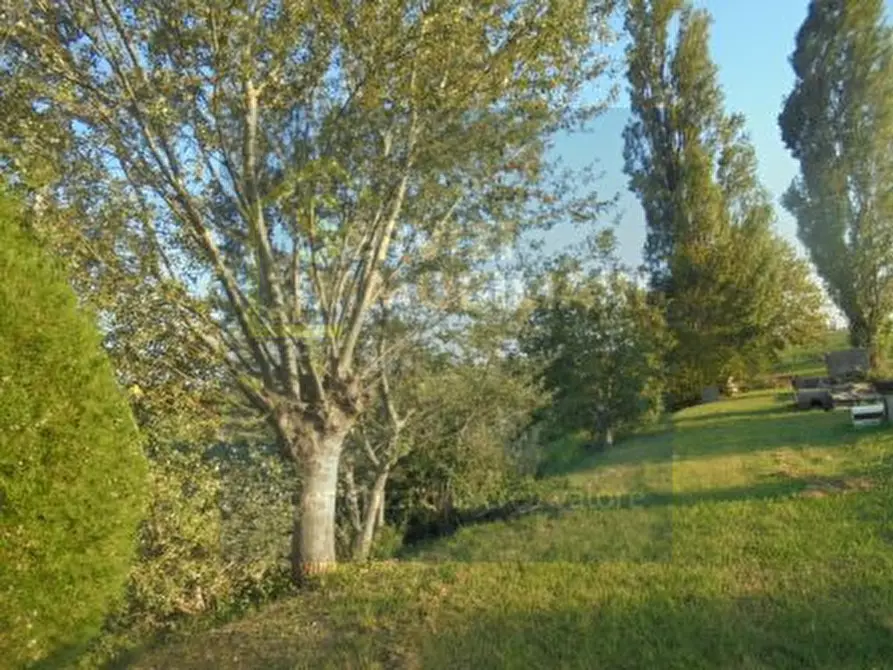 Immagine 3 di Casa indipendente in vendita  a Pincara