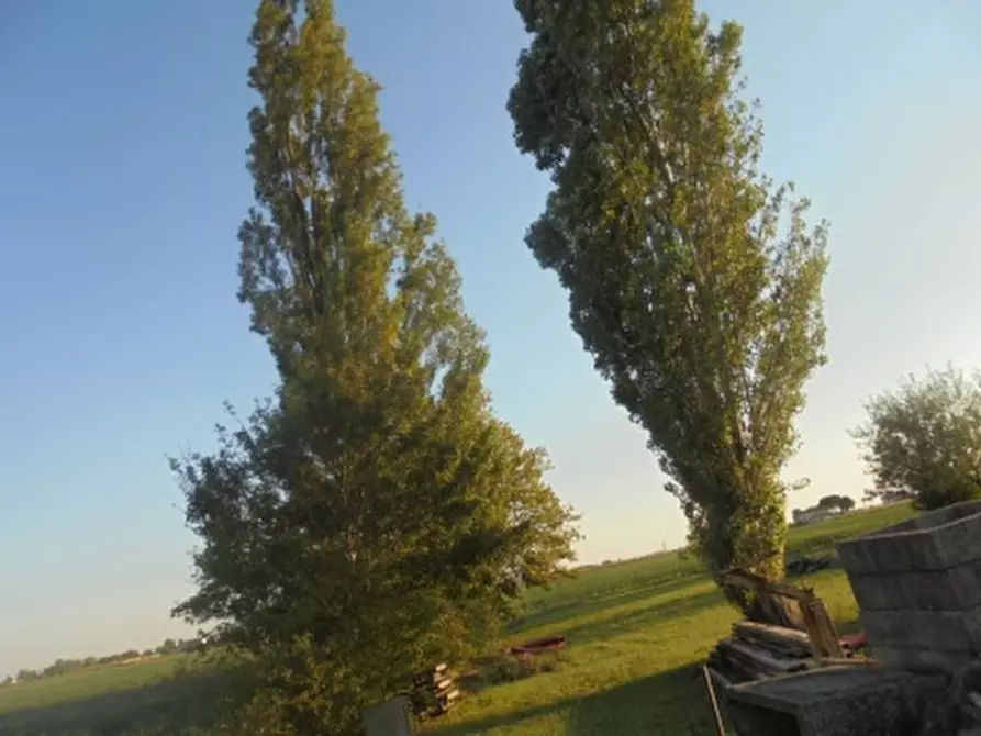 Immagine 4 di Casa indipendente in vendita  a Pincara