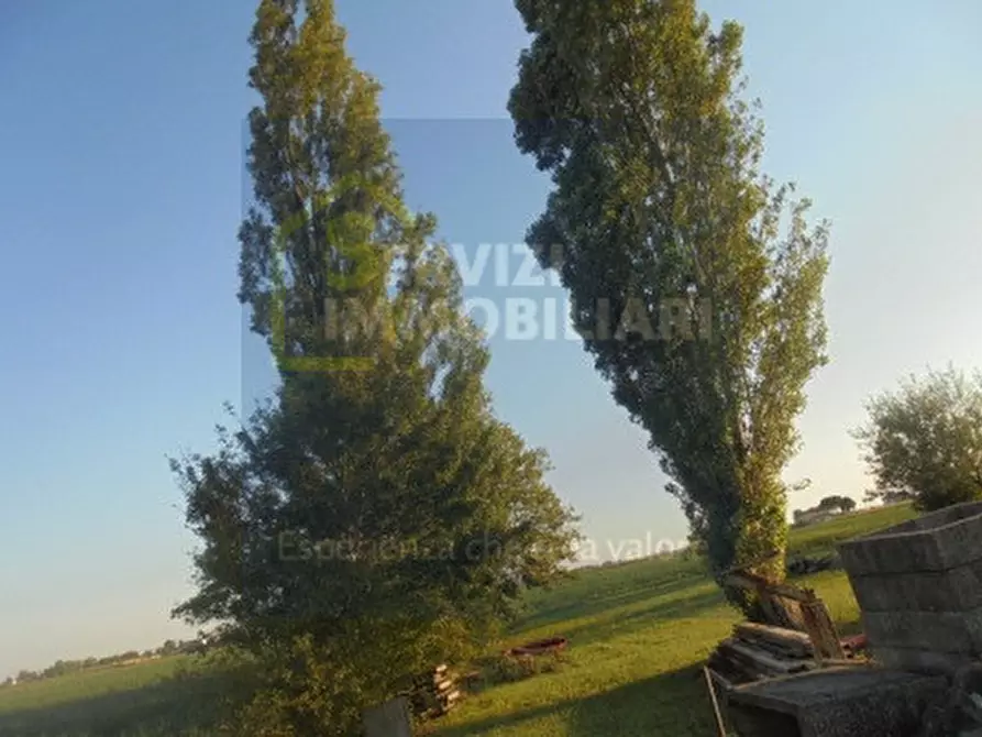 Immagine 4 di Casa indipendente in vendita  a Pincara