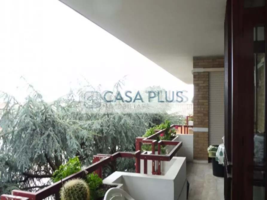 Immagine 8 di Attico in vendita  a Tombolo